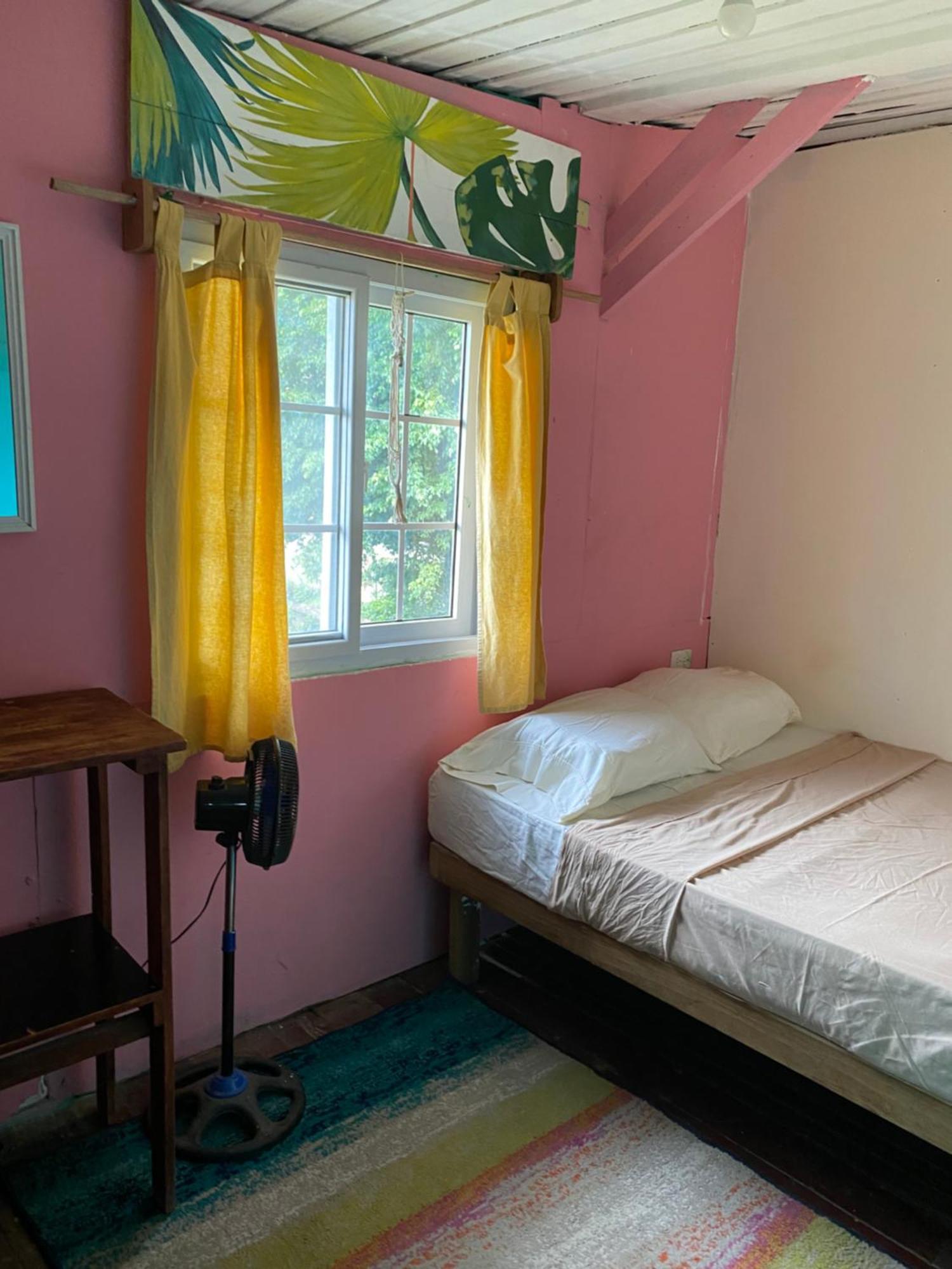 The Bocas Corner Hostel Bocas Town Kültér fotó