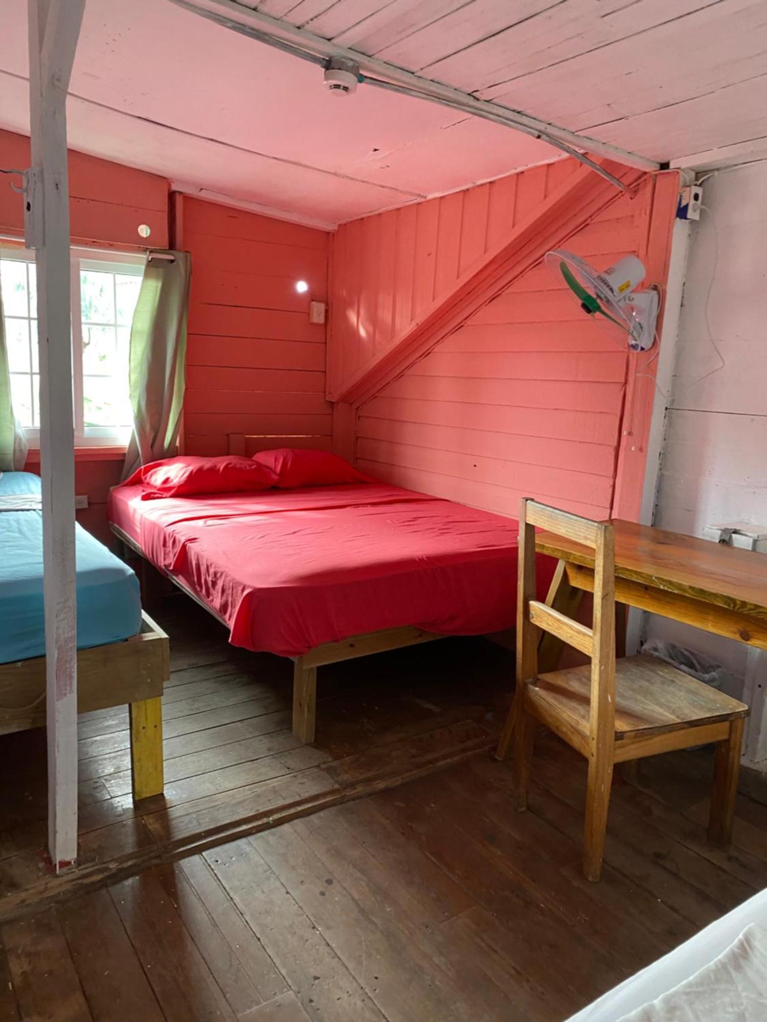 The Bocas Corner Hostel Bocas Town Kültér fotó